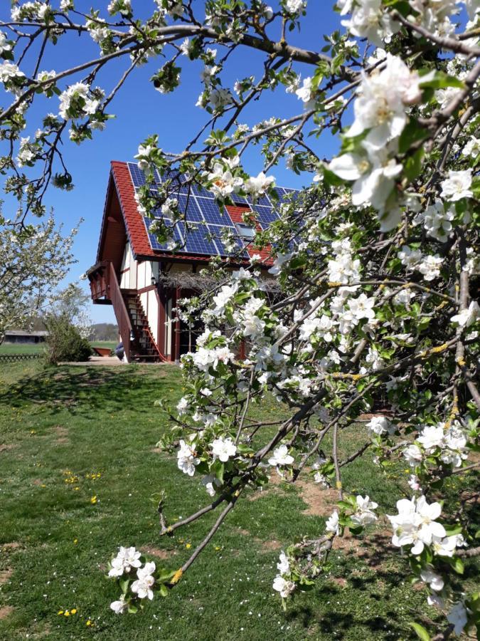Ferienwohnung Zur Saaleaue Wettin Eksteriør billede